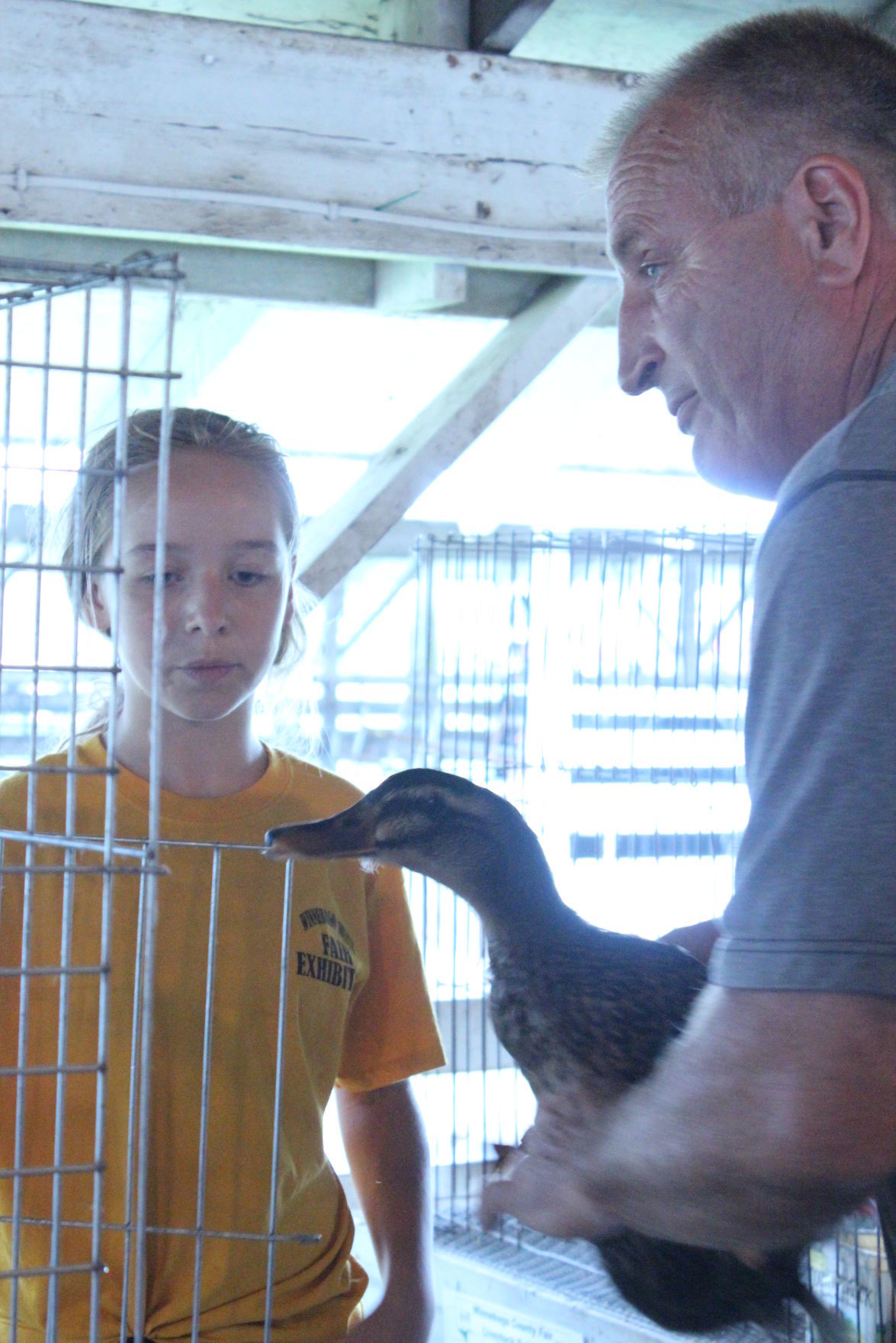 Poultry Show 6